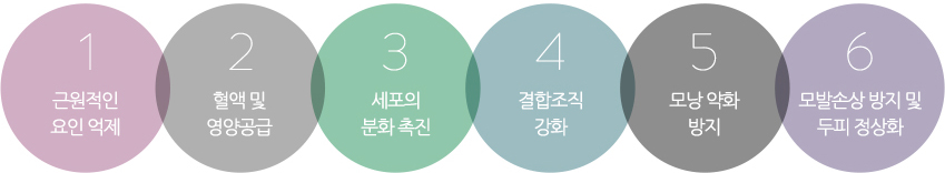 근원적인 요인억제, 혈액 및 영양공급, 세포의 분화촉진, 결합조직 강화, 모낭악화 방지, 모발손상 방지 및 두피 정상화